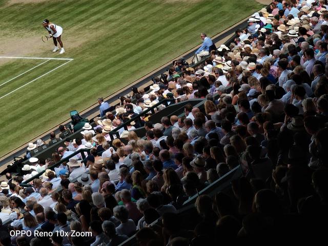  温网百年赛场迎革新，可回收材料铺设场地