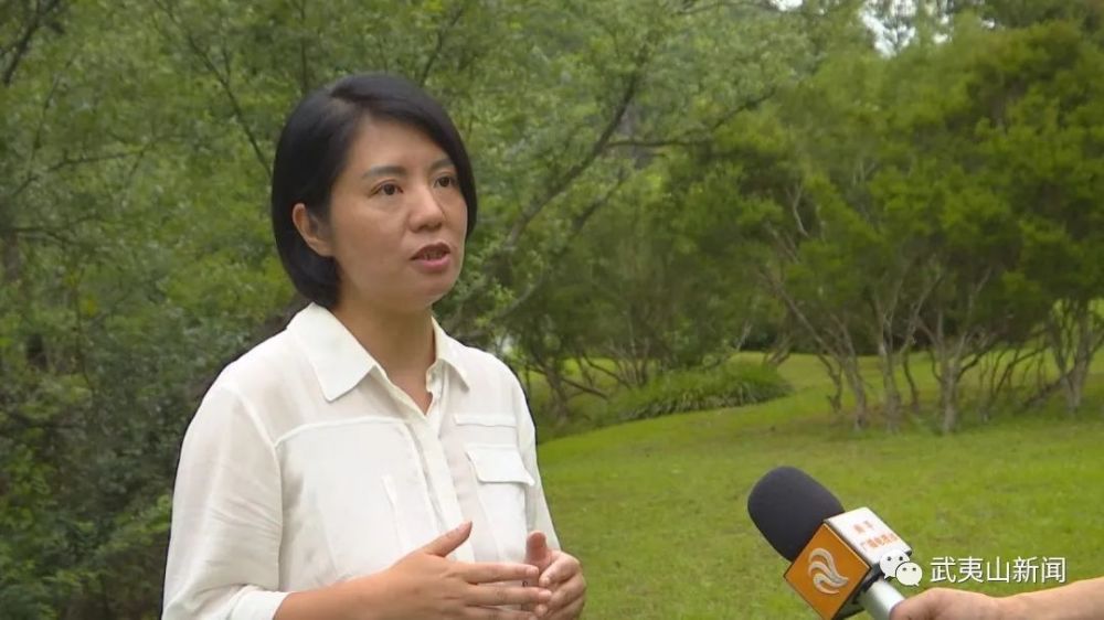  年度最佳选手评选启动，群雄逐鹿荣誉之争